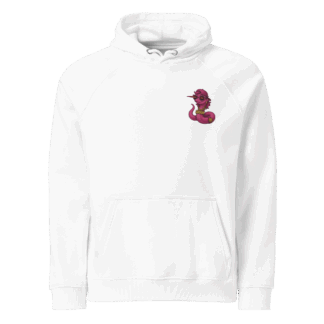 Unisex eco raglan hoodie